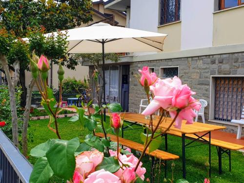 Zahrada ubytování B&B Figura Apartments