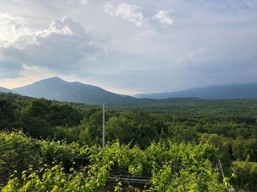 a view of the mountains from a winery at Green Silence - Vuk in Podgorica