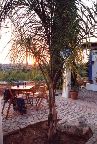 Patio o iba pang outdoor area sa Monte das Cortelhas