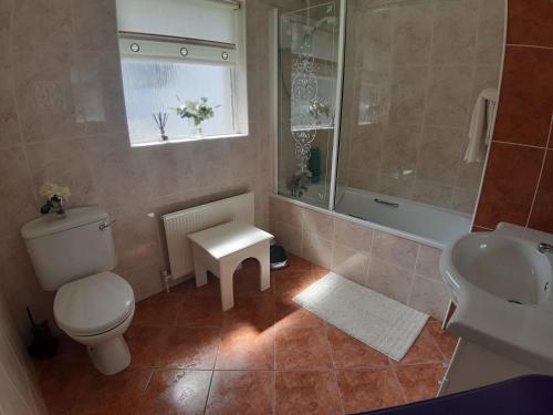 łazienka z toaletą, umywalką i oknem w obiekcie Edenvale Bed & Breakfast w mieście Portnoo