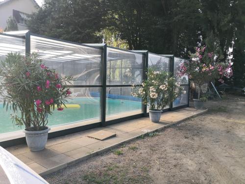 zwei Topfpflanzen in einem Gewächshaus mit Pool in der Unterkunft Au Jardin Fleuri in Secondigny