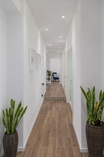 a hallway with white walls and two plants in vases at AmaSi Affittacamere in Siracusa