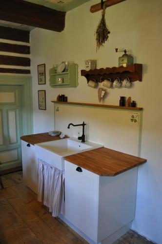 a kitchen with a sink and a counter at Horská chalupa U Hančilů in Pec pod Sněžkou