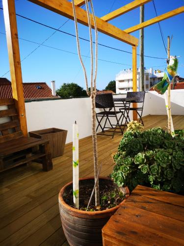 a potted plant in a pot on a balcony at Casa do Mar - Nazaré in Nazaré