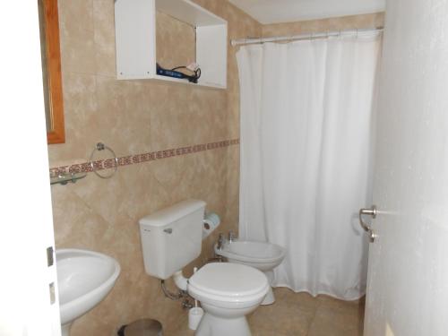 een badkamer met een toilet en een wastafel bij Montalto in Dina Huapi