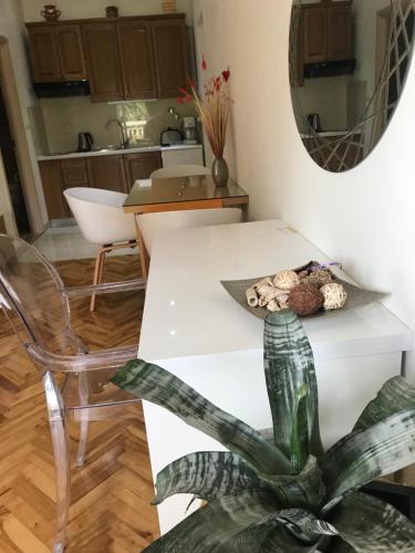 a table and a chair and a plant in a room at Apartments Jani in Hvar