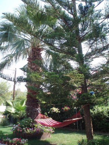 a hammock in a garden with a palm tree at Villa Xenos in Kalamaki