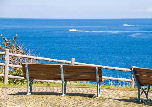 Φυσικό τοπίο κοντά σε αυτό το ryokan