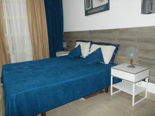 een slaapkamer met een blauw bed en een blauwe deken bij Milla's house rome in Rome