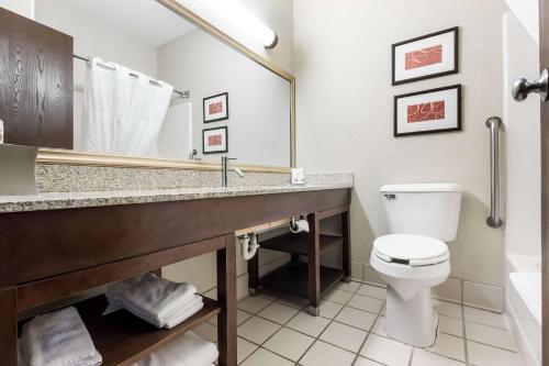 a bathroom with a toilet and a large mirror at Comfort Suites Sioux Falls Mall District in Sioux Falls