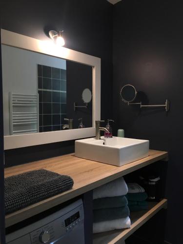 une salle de bain avec un lavabo et un grand miroir dans l'établissement Chalet Camélia Bayeux centre-ville, à Bayeux