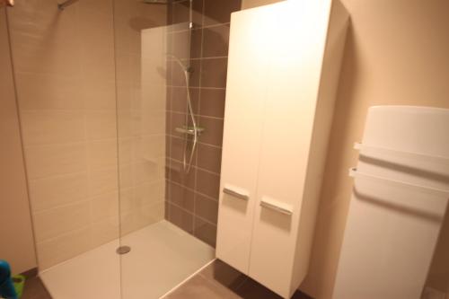 uma casa de banho com um chuveiro e uma porta de vidro em B2 - Résidence La Montille em Le Mont-Dore