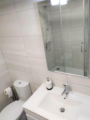 a bathroom with a toilet and a sink and a mirror at Anjo33 Flats in Braga
