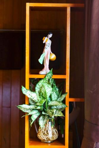 a wooden shelf with a figurine and a plant in it at Cat Ba Bay Cruises in Cat Ba