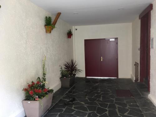 a hallway with potted plants and a brown door at HOTEL DE STRASBOURG in Aulnay-sous-Bois