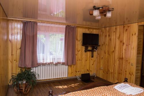 a bedroom with a bed and a television and a window at Карпатське сяйво in Vizhni Siniyvir