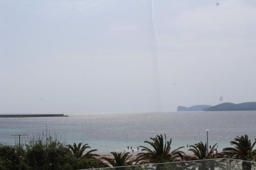 a view of a beach with palm trees and the ocean at AlMar Apartments by Alma di Alghero in Alghero
