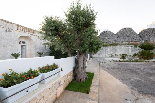 a tree in a garden next to a wall with flowers at Dimora San Quirico - bed e breakfast - Cisternino in Cisternino