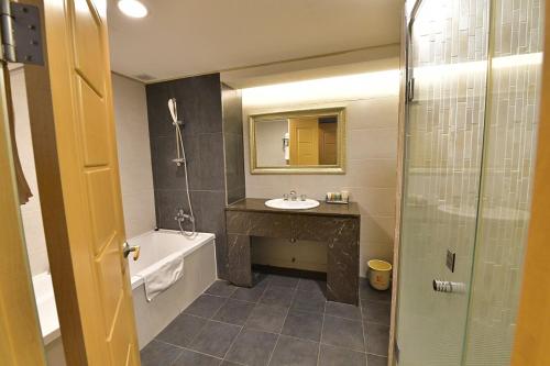 a bathroom with a sink and a toilet and a shower at Lake Tourist Hotel in Seoul