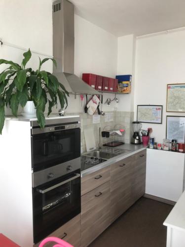 una cocina con una estufa de acero inoxidable y una planta en Appartements chez Tante Germaine - Proximité Institutions Européennes, en Estrasburgo