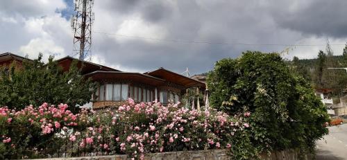 Zahrada ubytování Kisa Villa