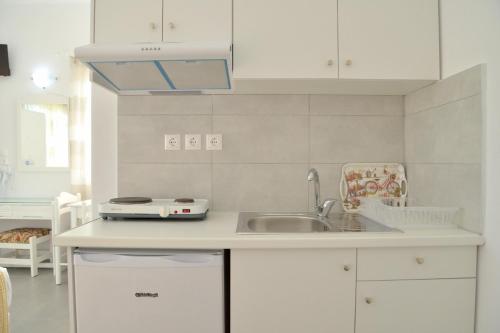 Kuhinja oz. manjša kuhinja v nastanitvi Zeras Apartments
