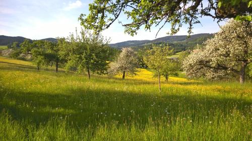 a field of green grass with trees in the background at Ferien vom Ich, Bayerischer Wald, Hotel & Restaurant in Neukirchen