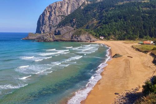 an aerial view of a beach with a mountain at Laga Blue Surf in Ibarrangelu