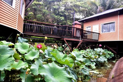 Jardín al aire libre en Yiyue Guanhe Homestay 倚月觀荷民宿