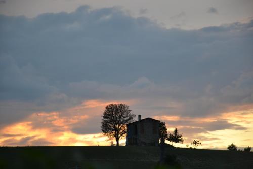 an old house on top of a hill with a tree at Cascina La Maddalena Bed & Wine in Rocca Grimalda