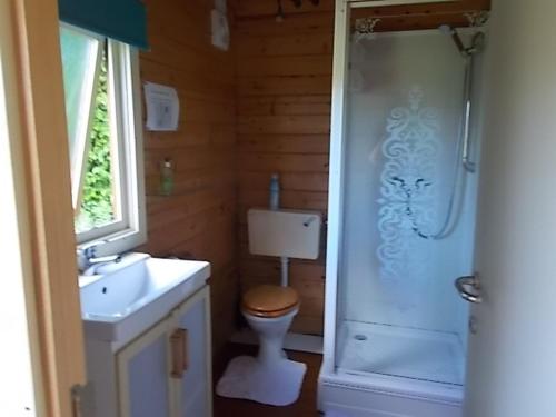 a bathroom with a toilet and a shower and a sink at Tudor Lodge in Liskeard