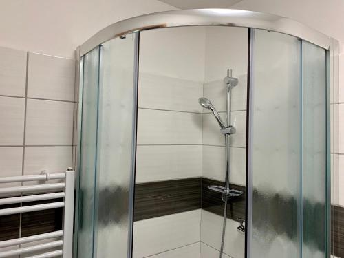 a shower with a glass door in a bathroom at Mikulov - Inn - hotel s vinným sklepem Venuše in Mikulov