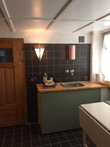 a kitchen with a sink and a counter top at Im Dorf - Central in Herisau