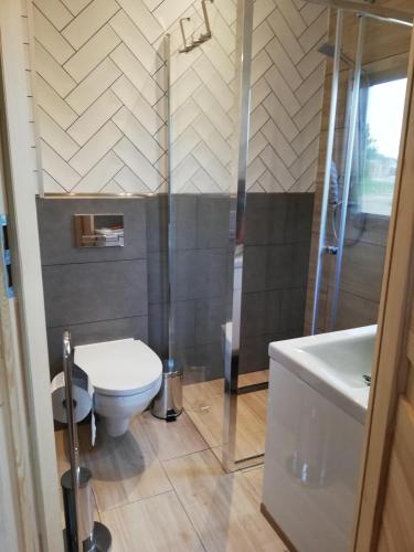 a bathroom with a toilet and a shower and a sink at Domek nad morzem in Będzino