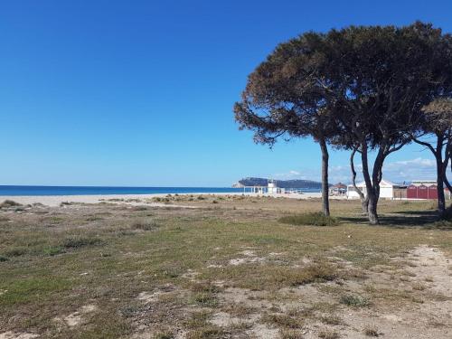 Φυσικό τοπίο κοντά σε αυτό το διαμέρισμα