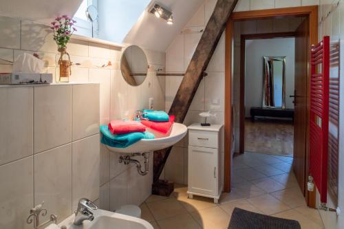 een badkamer met een wastafel en een spiegel bij Ferienwohnung Loft in Schmallenberg