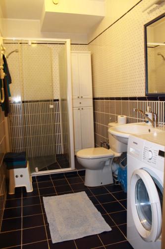 un bagno con wc, lavandino e lavatrice di Ruta Marija a Druskininkai