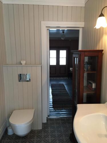 a bathroom with a toilet and a sink at Skjeggestad Gjestehus in Ringebu