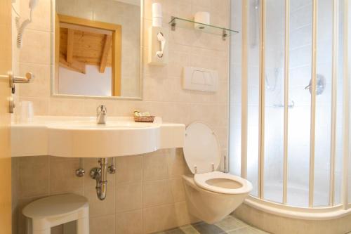 een badkamer met een toilet, een wastafel en een douche bij Chalet Madrisa in Corvara in Badia