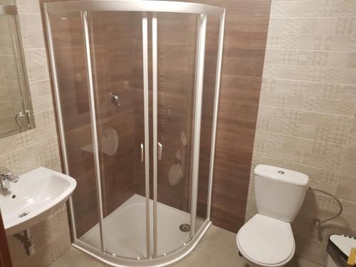 a bathroom with a shower and a toilet and a sink at Penzion Hudebka in Louny