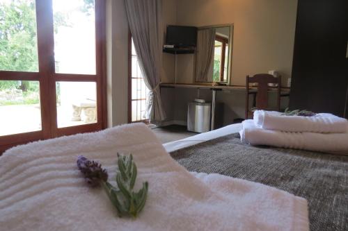 Gallery image of Rohrs Farm Guesthouse in Piet Retief