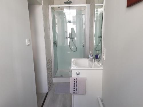 a bathroom with a sink and a glass shower at Tradition Plombières in Plombières-les-Bains