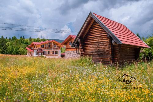 a group of houses in a field of flowers at Apartments Chalet Girska Hatyna in Vorokhta
