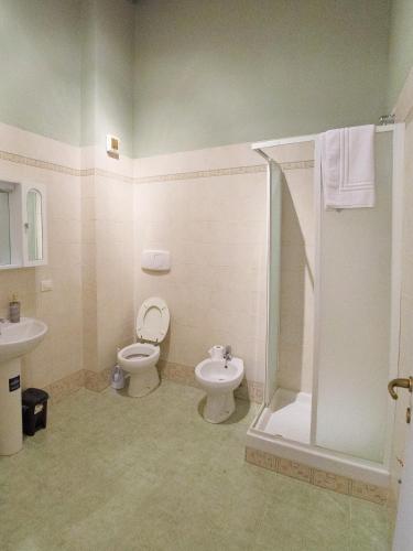 a bathroom with a toilet and a shower and a sink at Residence La Poggerina in Figline Valdarno