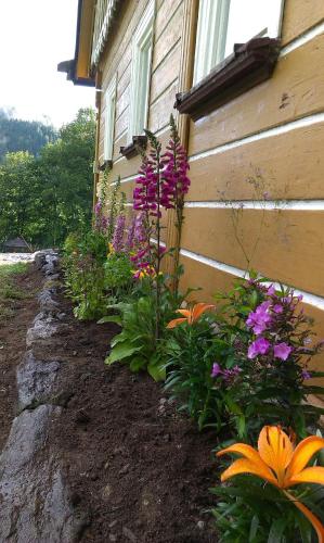 a garden of flowers next to a house at Horská chalupa U Hančilů in Pec pod Sněžkou