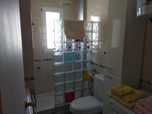 uma casa de banho com um WC e um chuveiro em Apartamento Guillem em Riumar