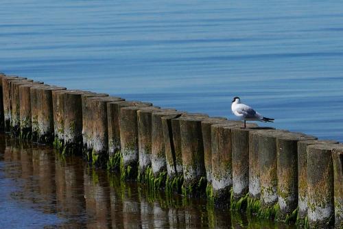 Gallery image of Alte Weberei Ahrenshoop - Ort der Erholung in Ahrenshoop