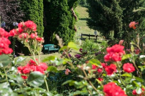 a garden with red flowers and benches in a park at Biogasthaus Wanker in Techelsberg am Worthersee