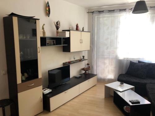 uma sala de estar com um centro de entretenimento com uma televisão em Apartment Lili em Blagoevgrad