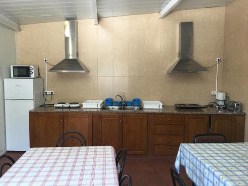 a kitchen with a counter with a sink and a refrigerator at PR As Termas in Bubaces